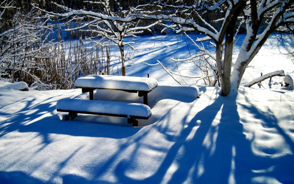 Заснеженная скамейка