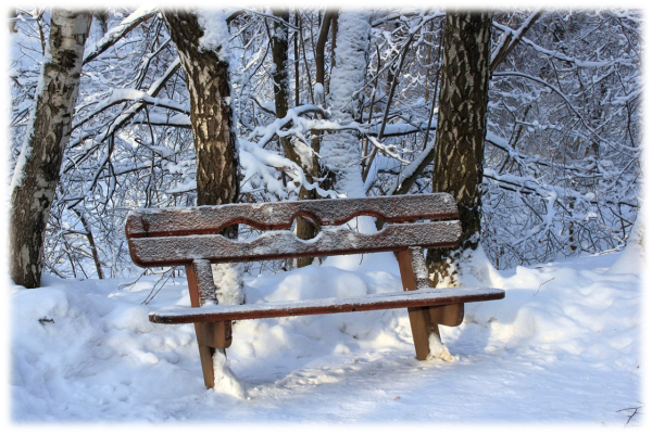 Зима скамейка
