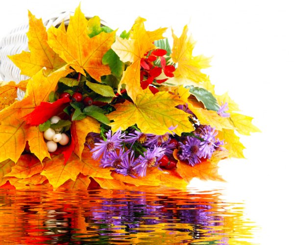 Букет осенних цветов с пожеланиями