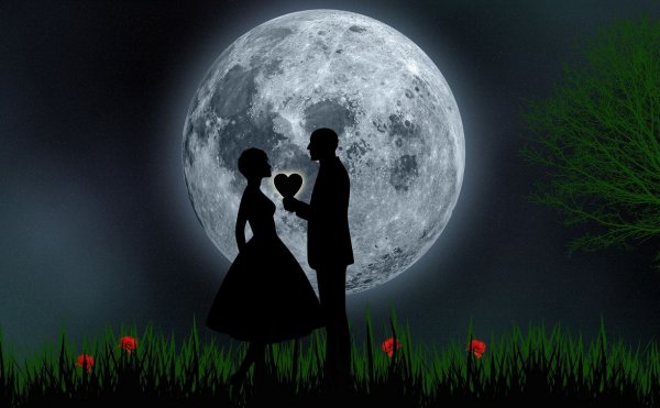 Ночь романтика любовь