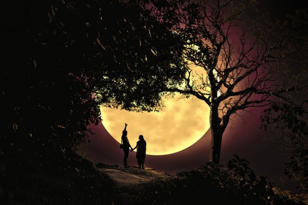 Романтическая прогулка под луной