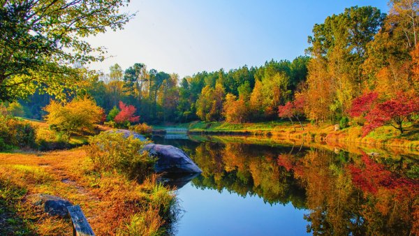 Осень река