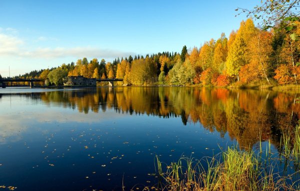 Осень лес река