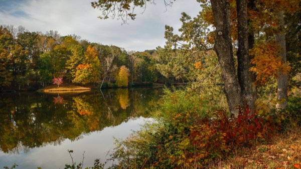 Осень лес река