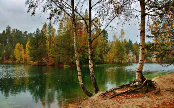 Река Тулва осень