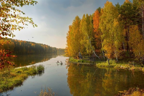 Золотая осень река Ишим