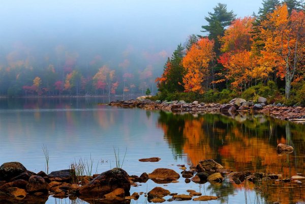 Осень природа река озеро лес