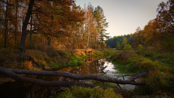 Осень река