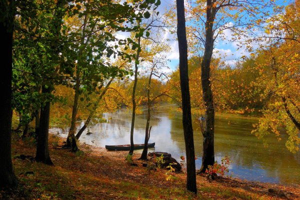 Осень река деревья