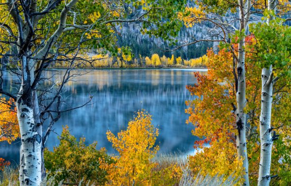 Осень природа река озеро лес