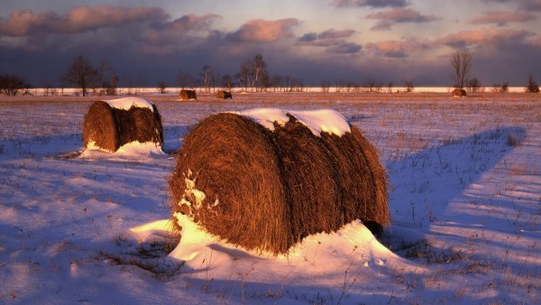 Стога под снегом
