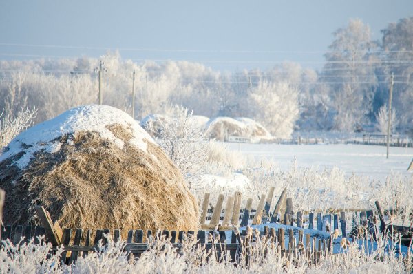 Скирды зимой