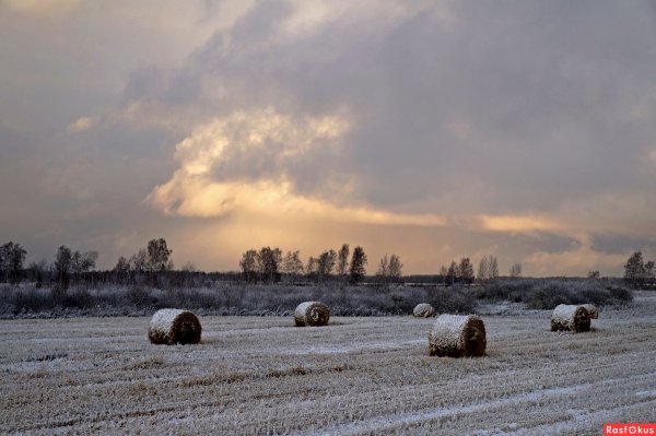Первый снег в деревне