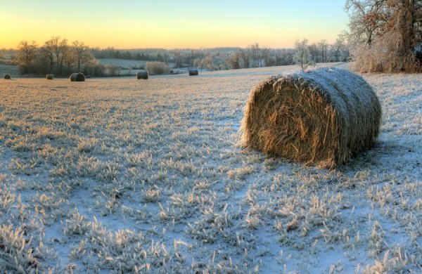 Картинки сено зимой