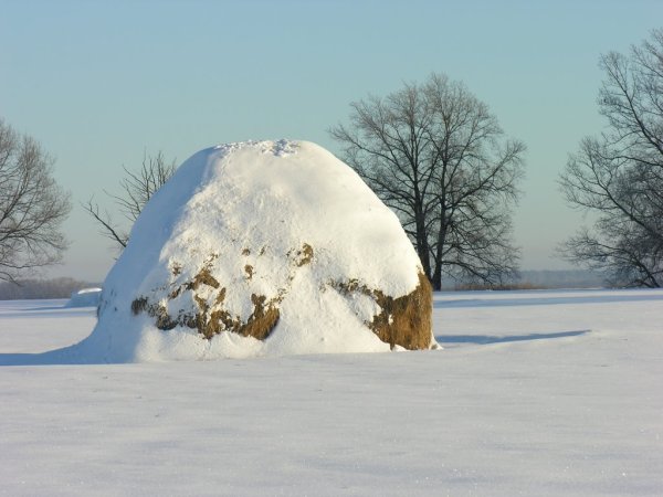 23 Января - Григорий летоуказатель в народном календаре