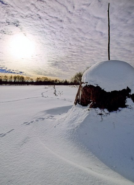 Зима стог сена