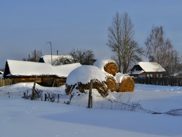 Деревенька под снегом