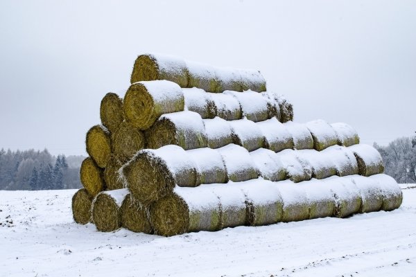 Хранение сена в рулонах