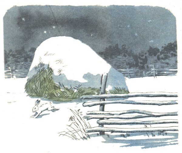 Лев Николаевич толстой заяц Русак