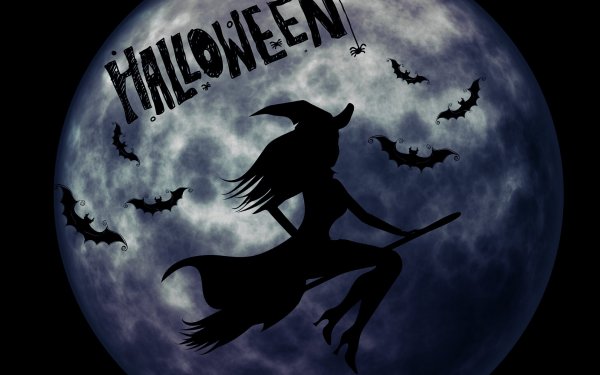 Halloween ведьма на метле
