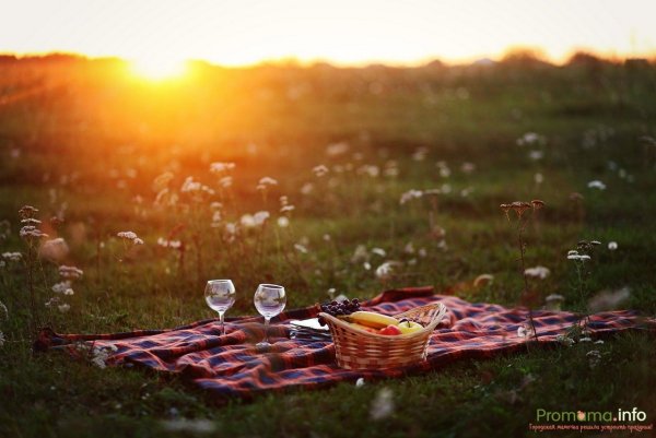 Романтичный ужин на природе
