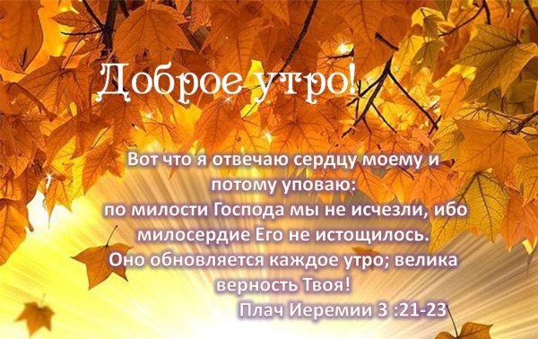 По милости Божией мы не исчезли