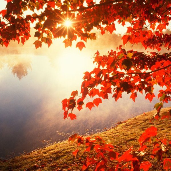 С первым днем осени