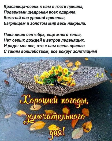 Доброе осеннее утро стихи