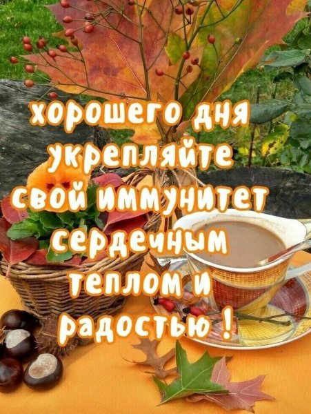 С добрым сентябрьским утром