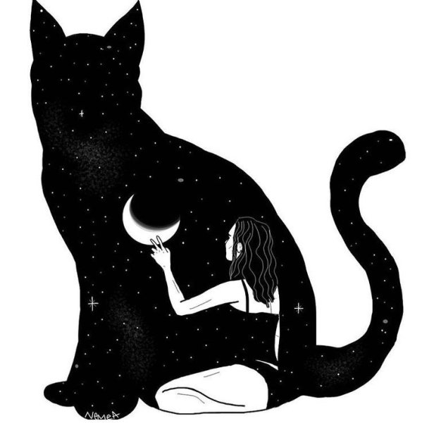 Кот арт