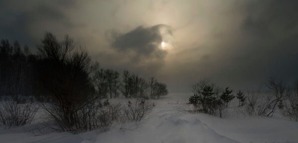 На мутном небе мгла носилась