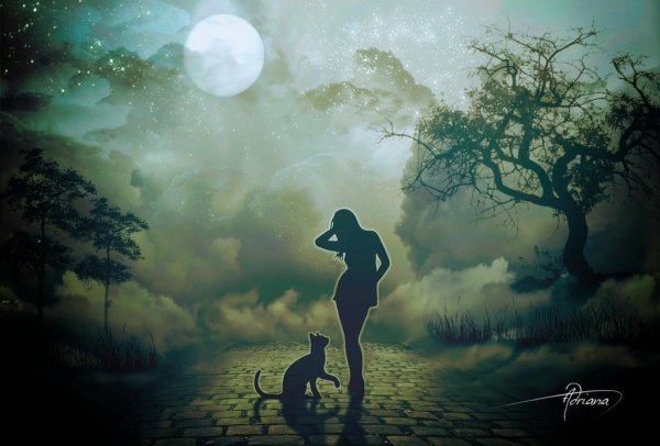 Девушка и кот ночью