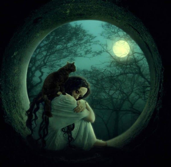 Сновидения мистика