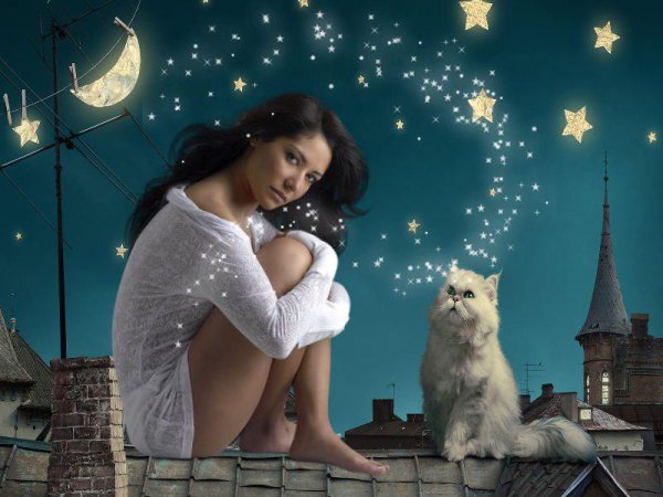 Женщина с котом на крыше