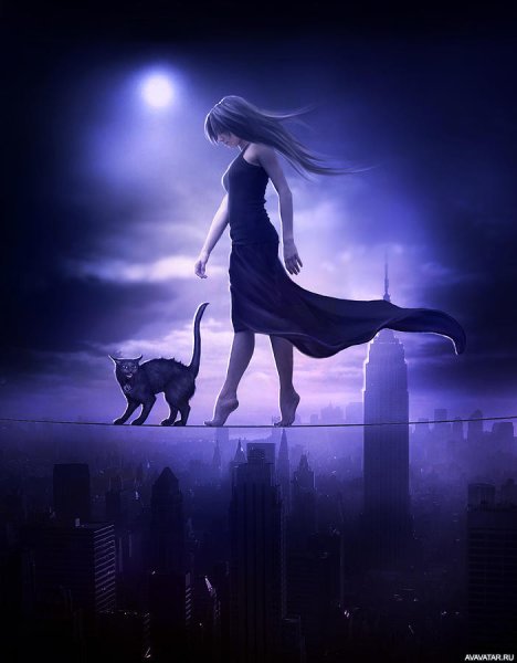 Лунная кошка девушка