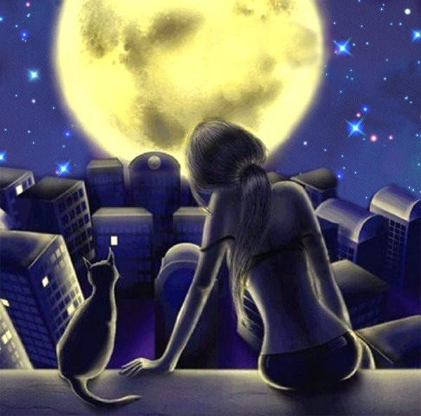 Девушка кошка на крыше