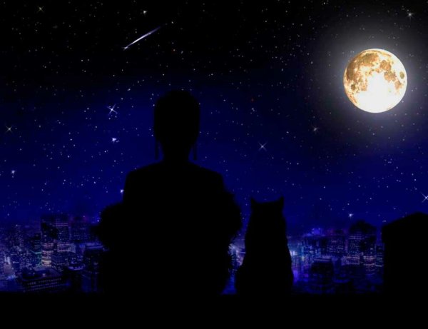 Человек в ночи под луной