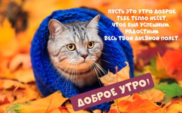 Доброе осеннее утро одевайтесь теплее