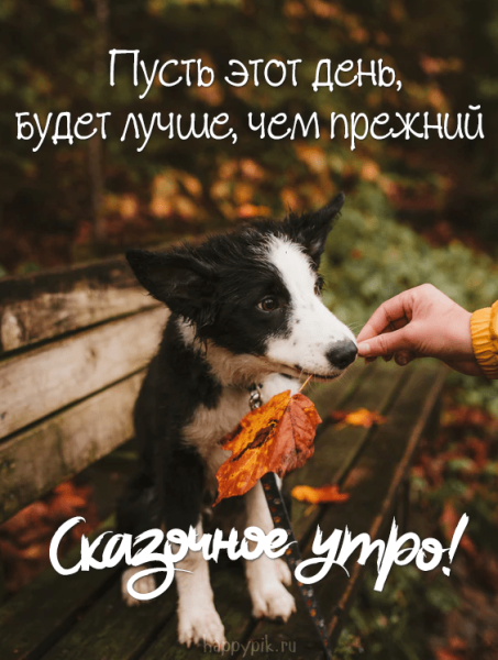 Доброе утро с собаками с надписью