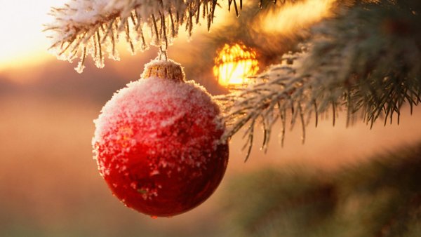 Новогодние обои