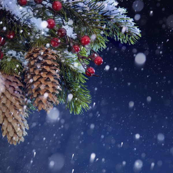 Новогодняя зима