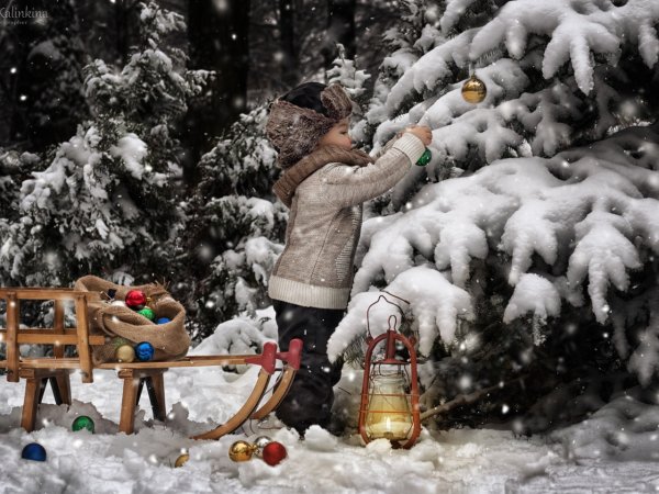 Новогодний праздник в лесу