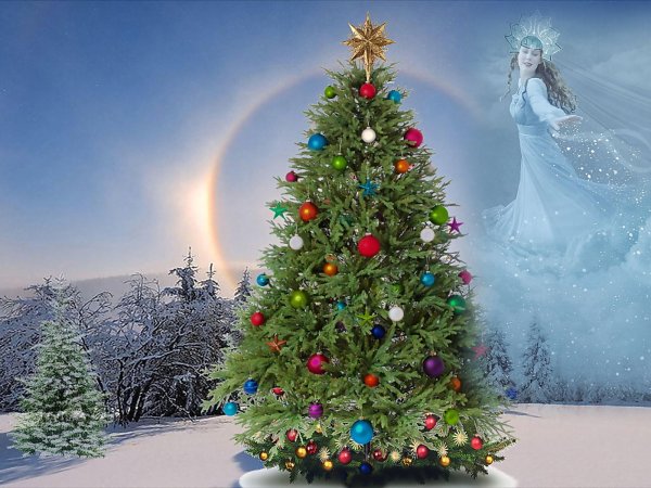 Новогодняя елка в зимнем лесу