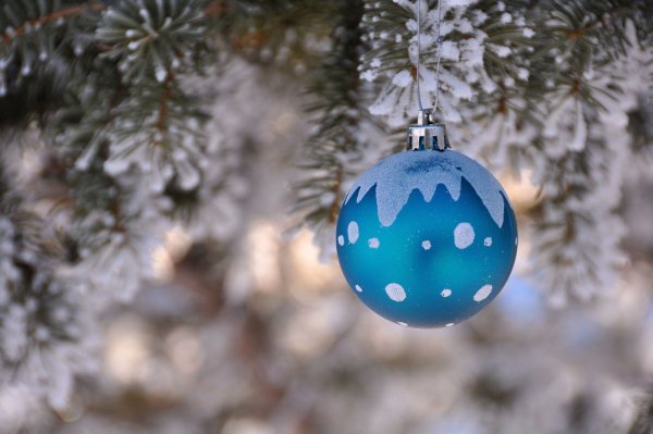 Новогодний шар "у ёлки"