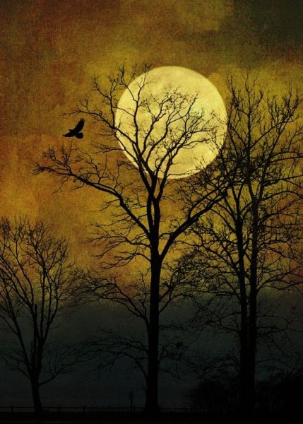 Полнолуние в живописи