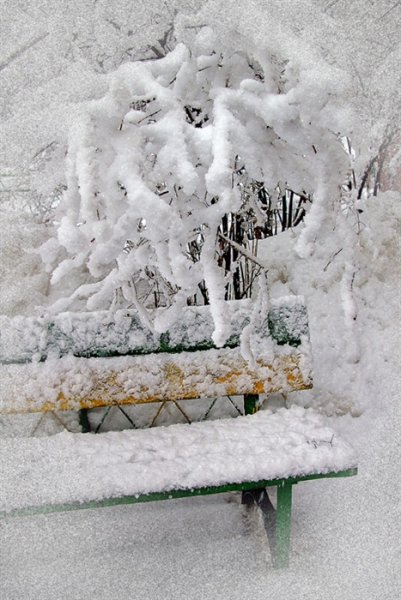 Цветы на заснеженной скамье картинки