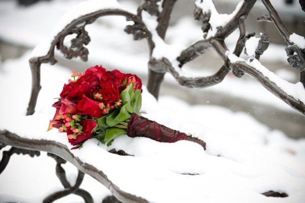 Зимний букет цветов на снегу