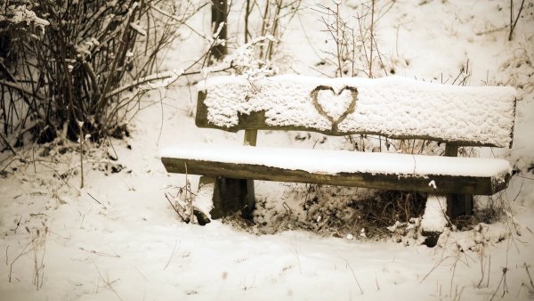 Скамейка под снегом