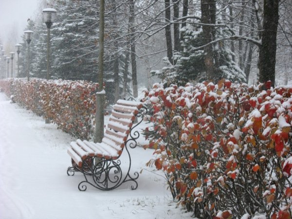 Первый снег на скамейке