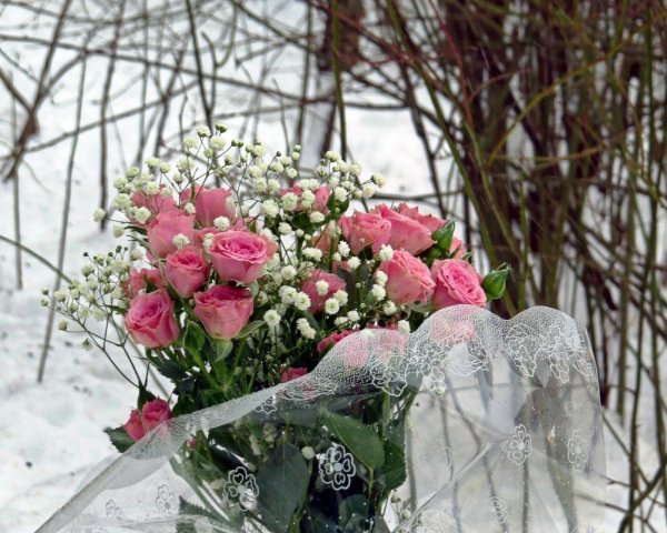 Букет роз зимой